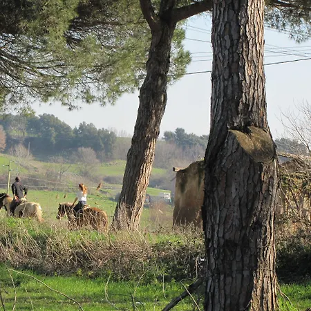 Parco Delle Nazioni - Relax Grand Róma