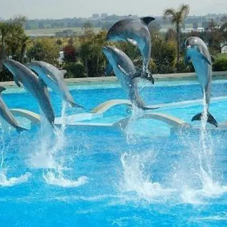 Panzió Parco Delle Nazioni - Relax Grand 4*