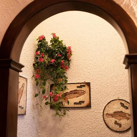 Bed & Breakfast Parco Delle Nazioni - Relax Grand 3*