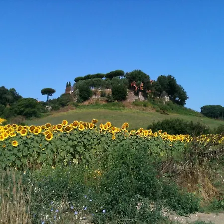 Parco Delle Nazioni - Relax Grand Bed & Breakfast