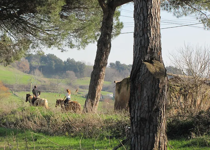 Parco Delle Nazioni - Relax Grand Castel di Decima