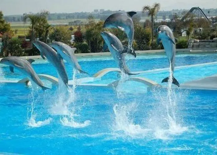 Nocleg ze śniadaniem Parco Delle Nazioni - Relax Grand 4*