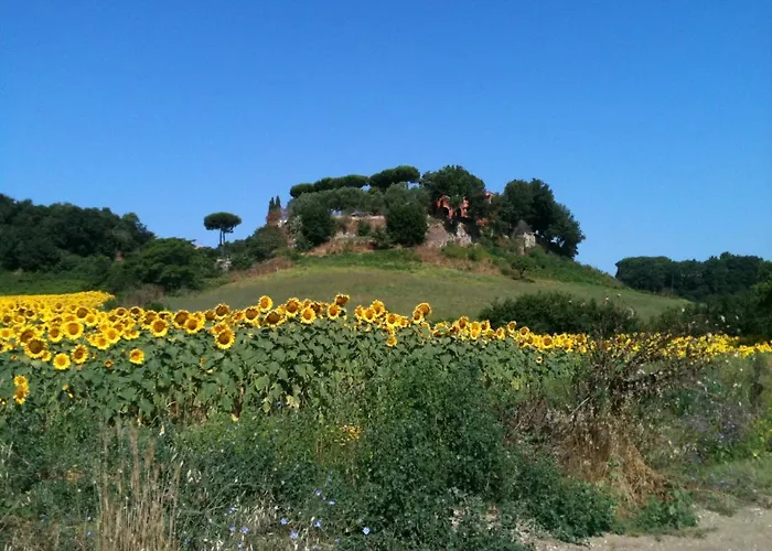 Parco Delle Nazioni - Relax Grand Nocleg ze śniadaniem
